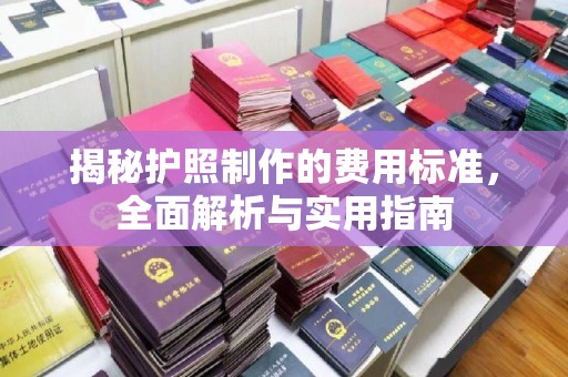 德城揭秘护照制作的费用标准，全面解析与实用指南